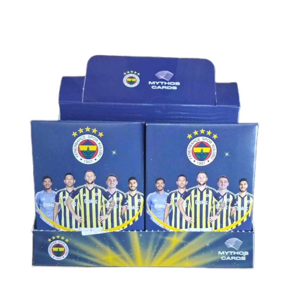 FENERBAHÇE LİSANSLI FUTBOLCU KARTI 16 PKT *384