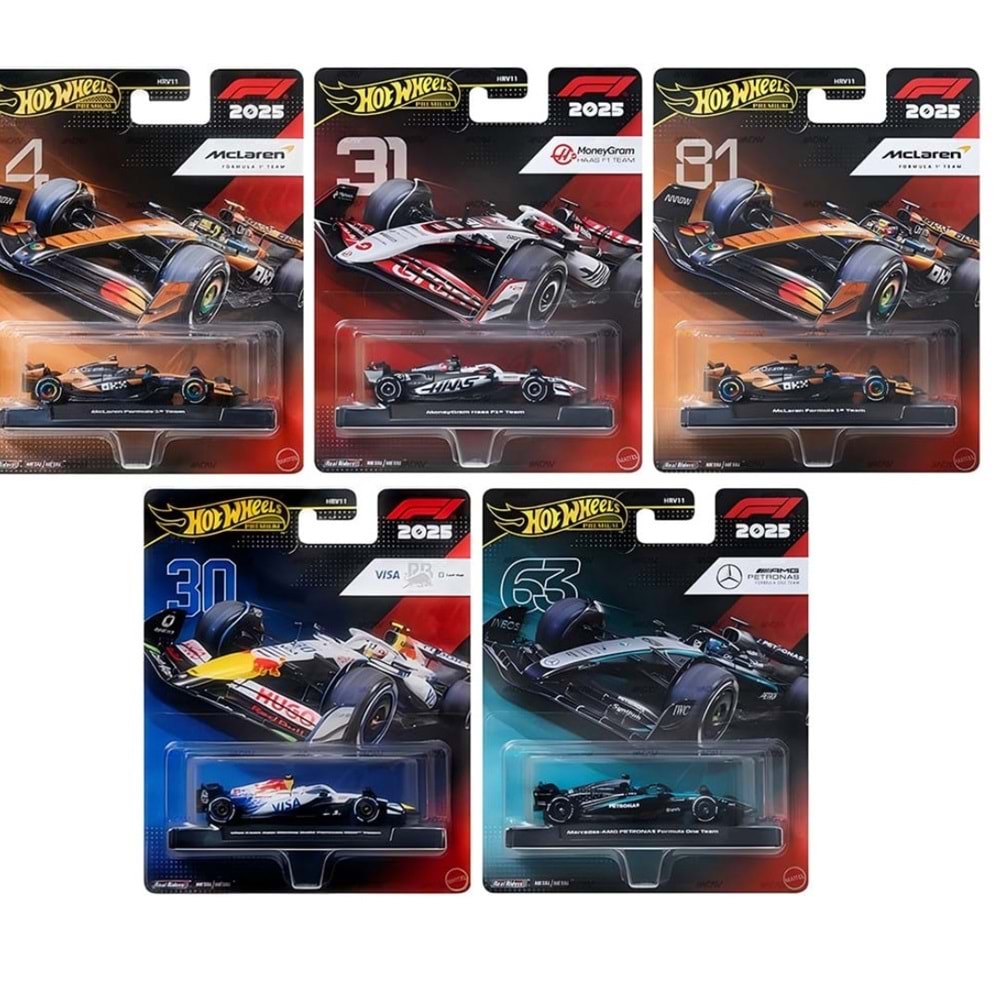 MTL HOT WHEELS PREMİUM ÖZEL SERİ HRV11 *8