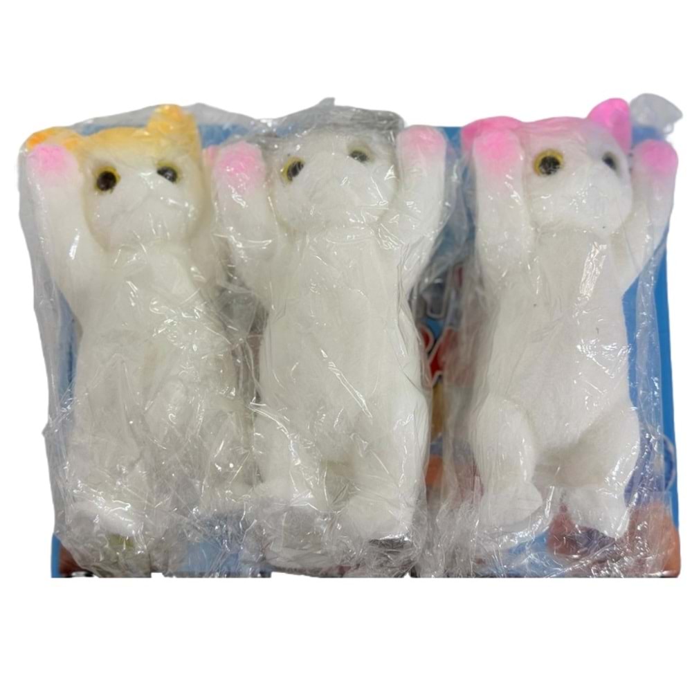 SUKUŞİ KEDİ ORTA BOY 6 LI PKT *60