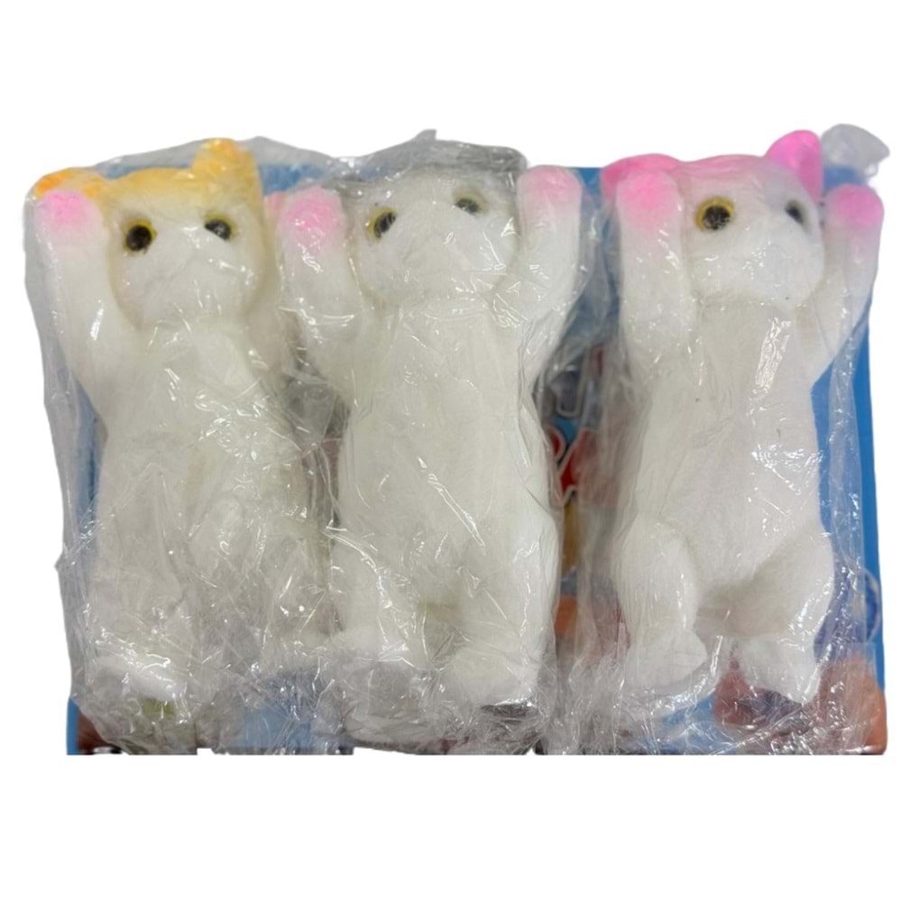 SUKUŞİ KEDİ ORTA BOY 6 LI PKT *60