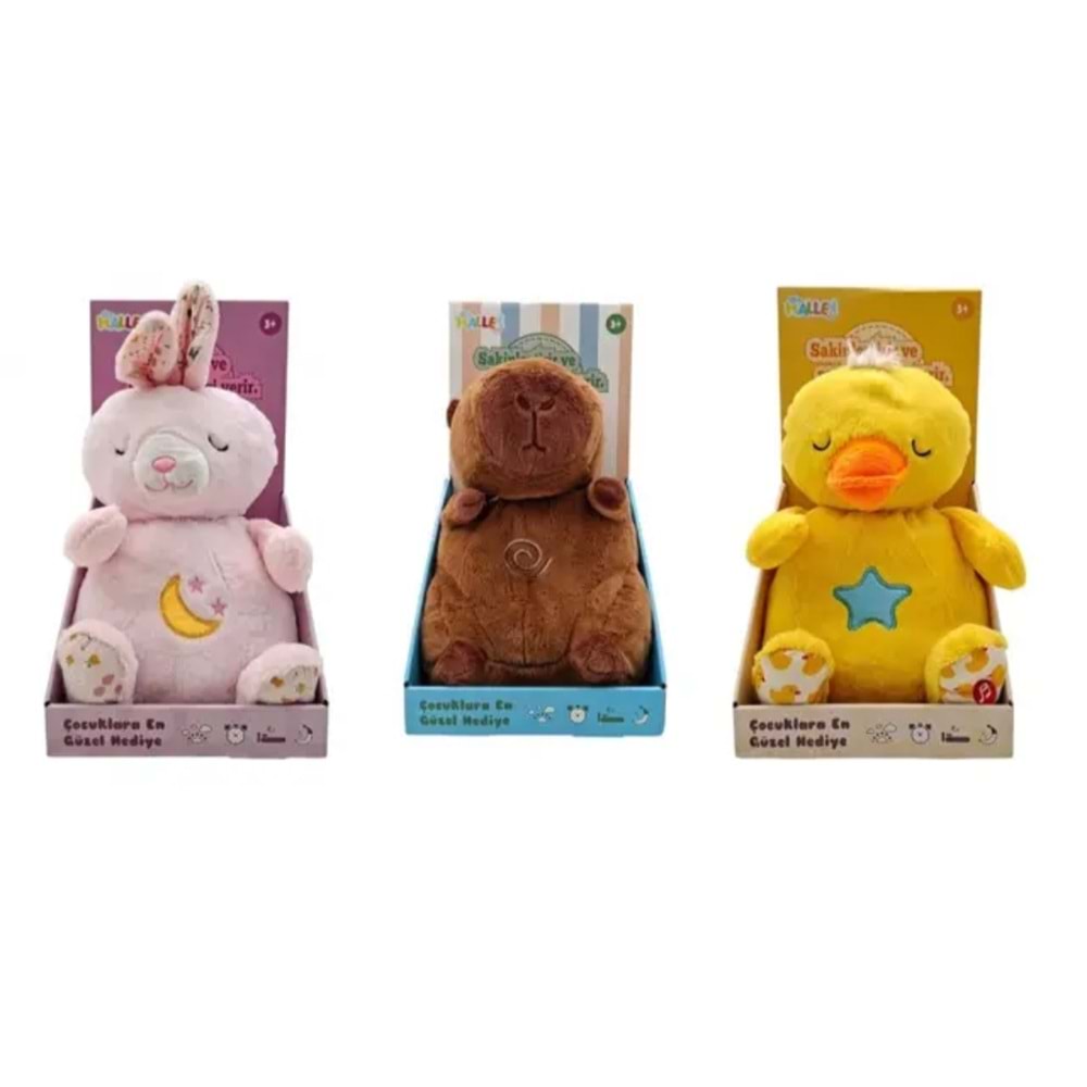 MÜZİKLİ IŞIKLI 28 CM ASORTİLER PL 50123 *30