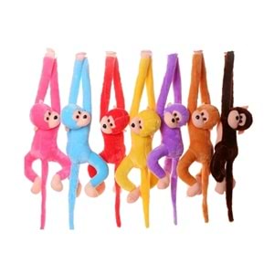 SDT MAYMUN CIRT CIRTLI 70CM * ?