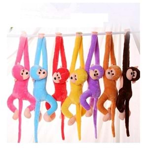 SDT MAYMUN CIRT CIRTLI 70CM * ?