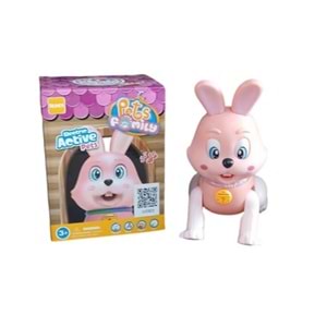 PİLLİ IŞIKLI MÜZİKLİ TAVŞAN RS-9037C *36