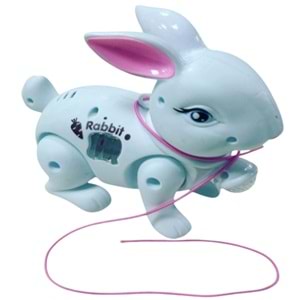 TAVŞAN IŞIKLI SESLİ POŞETLİ İPLİ 029 *96