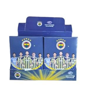 FENERBAHÇE LİSANSLI FUTBOLCU KARTI 16 PKT *384