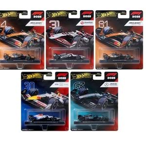 MTL HOT WHEELS PREMİUM ÖZEL SERİ HRV11 *8