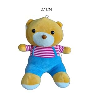 PELUŞ KOSTÜMLÜ AYICIK 27 CM BJ-55 *50