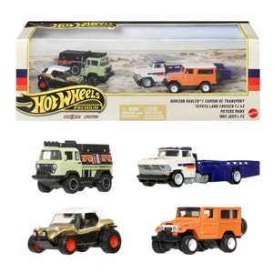 MTL HOT WHEELS KOLLEKSİYON SETİ ARABALAR GMH39 *2