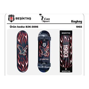 BEŞİKTAŞ KAYKAY 1903 BJK-3095 *4
