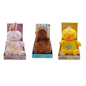 MÜZİKLİ IŞIKLI 28 CM ASORTİLER PL 50123 *30