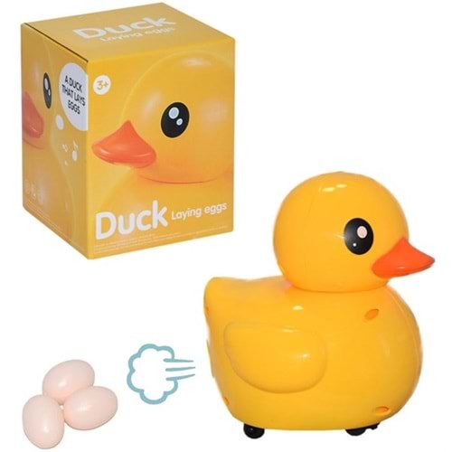 KUTUDA PİLLİ CİVCİV X-130 (36)