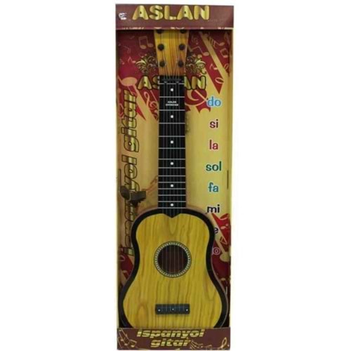 BÜYÜK GİTAR ASL-076 (35)