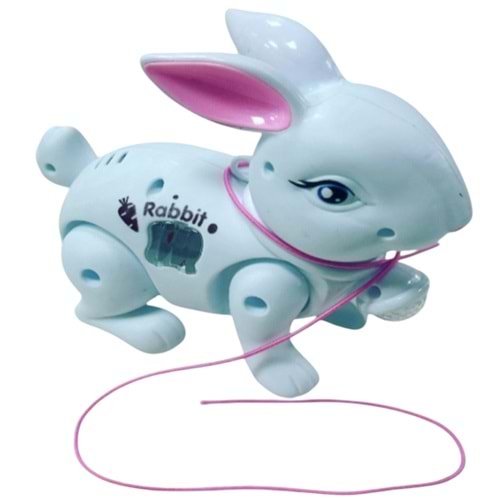 TAVŞAN IŞIKLI SESLİ POŞETLİ İPLİ 029 *96