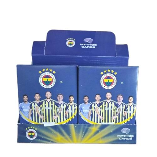 FENERBAHÇE LİSANSLI FUTBOLCU KARTI 16 PKT *384