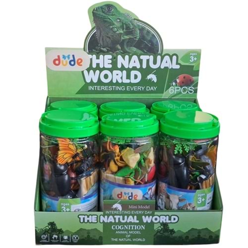 SEHER BÜYÜK PVC KUTU BÖCEK HAYVANLAR SETİ KC716-2 *36