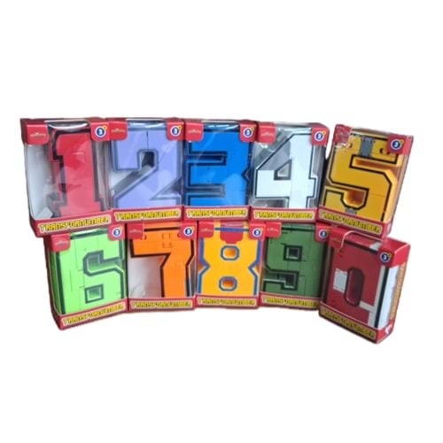 DÖNÜŞEN SAYILAR TRANSFORNUMBER DST *60