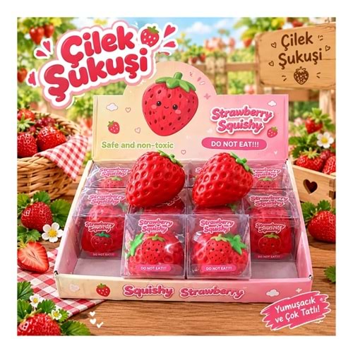 STANDLI PCV KUTU A+KALİTE ÇİLEK SUKUŞİ KS010