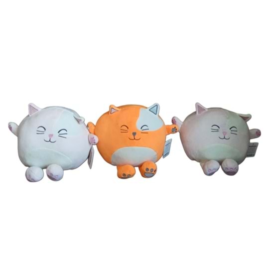 550x530_thumb_st009532.jpeg