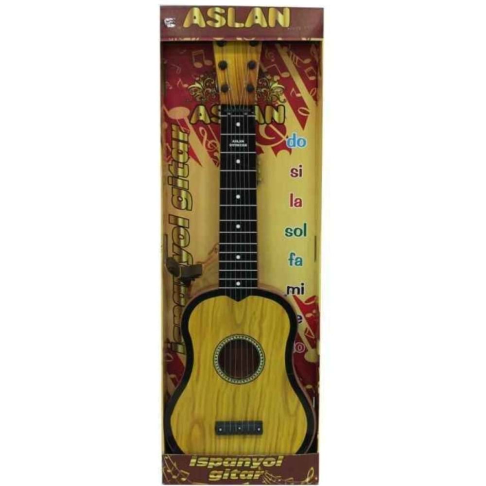 BÜYÜK GİTAR ASL-076 (35)