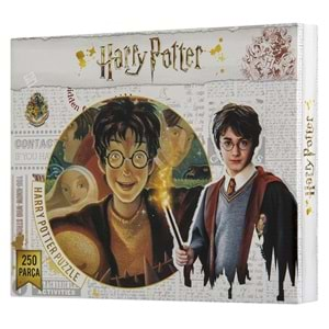 HARRY POTTER 250 PARÇA PUZZLE 7565 (48)