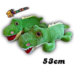 AVNİ YATAN TİMSAH 13416