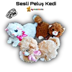 30 CM SESLİ İRİ GÖZ KEDİ PL62696 *70