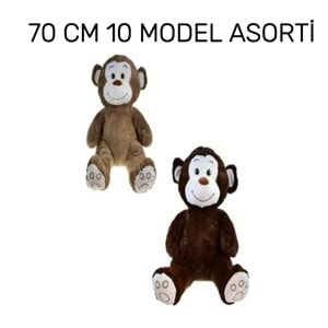 70 CM 10 MODEL ASORTİLER PELUŞ PL62428 *30