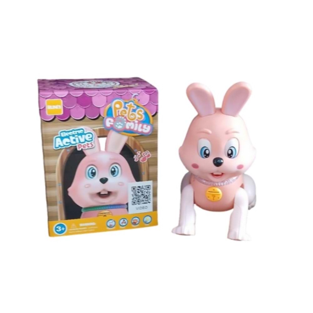 PİLLİ IŞIKLI MÜZİKLİ TAVŞAN RS-9037C *36