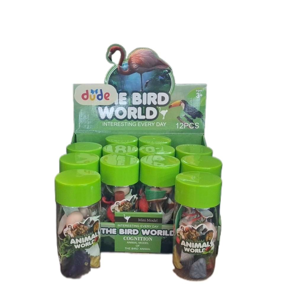 PVC KUTULU UÇAN KUŞ SETİ FN716-1 *72