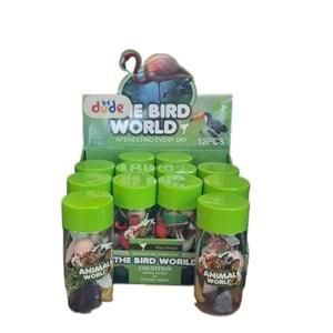 PVC KUTULU UÇAN KUŞ SETİ FN716-1 *72