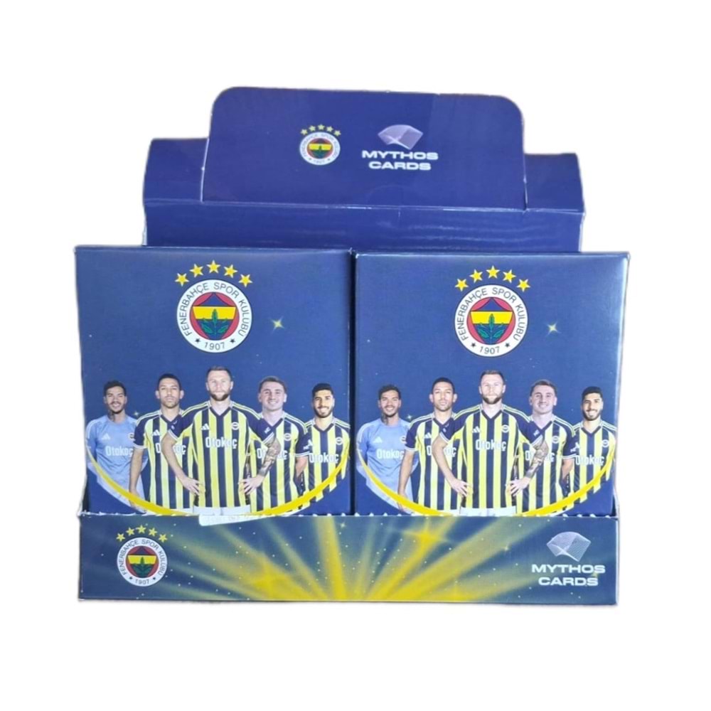 FENERBAHÇE LİSANSLI FUTBOLCU KARTI 16 PKT *384
