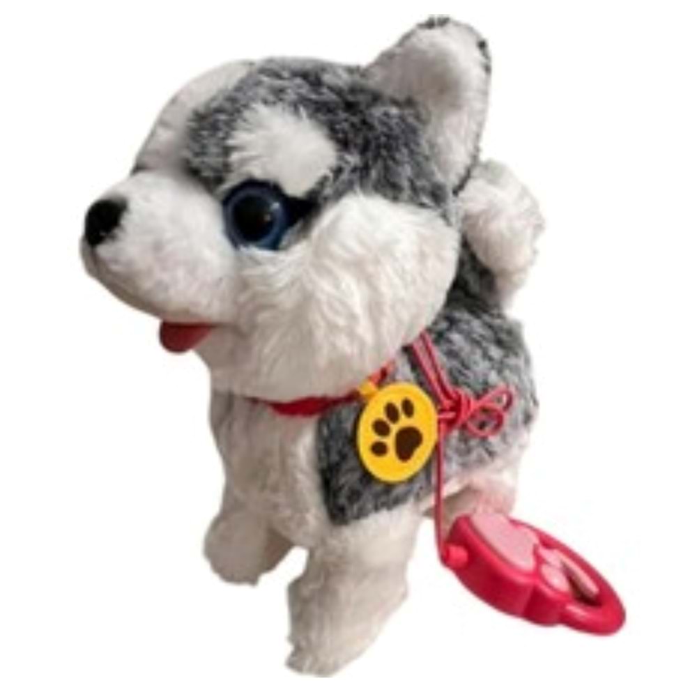 ŞAJLI KABLO KUMANDALI KÖPEK EMN34 *50