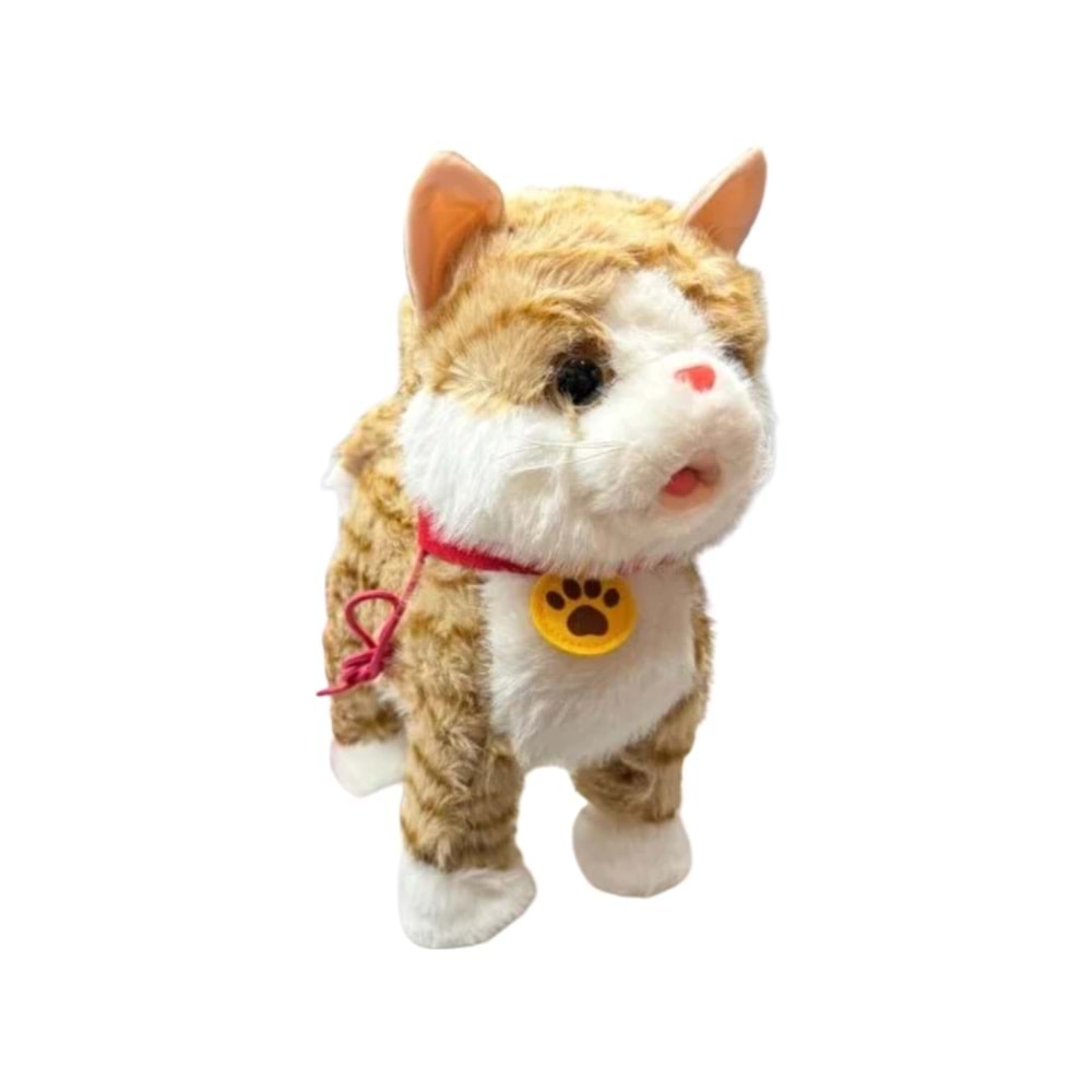 ŞARJLI KABLO KUMANDALI KEDİ EMN34 *50