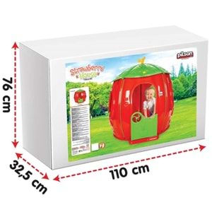 PİLSAN ÇİLEK EV 06158