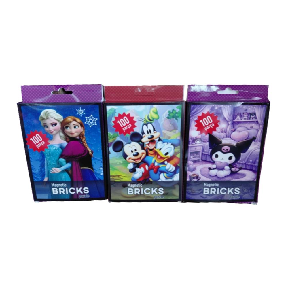 PUZZLE MAGNETİC 100 PRÇ 10X15 CM *252
