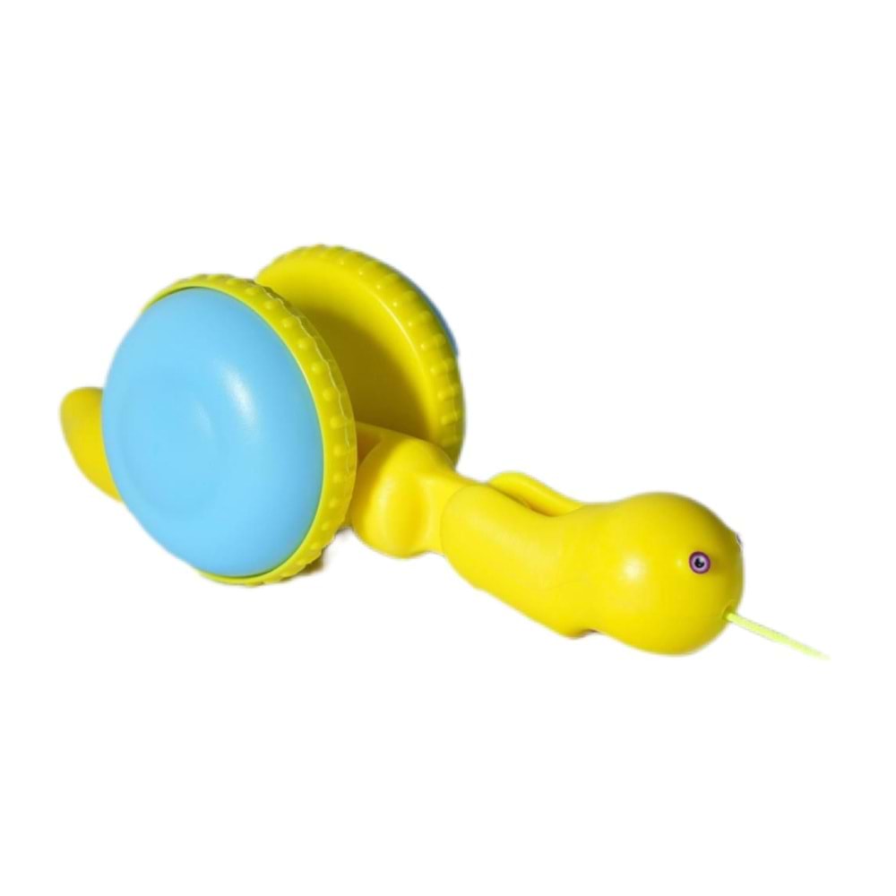 İPLİ SALYANGOZ 10 LU PKT ÇK-001 *100
