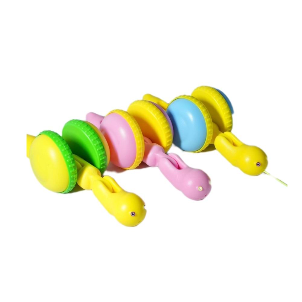 İPLİ SALYANGOZ 10 LU PKT ÇK-001 *100