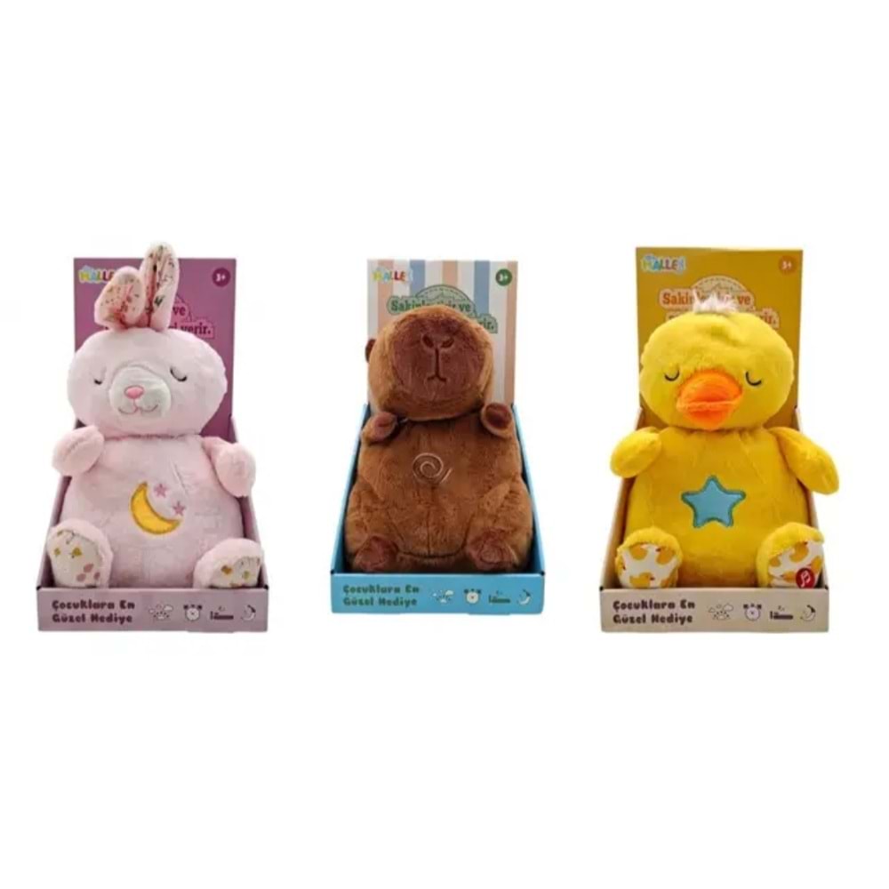MÜZİKLİ IŞIKLI 28 CM ASORTİLER PL 50123 *30